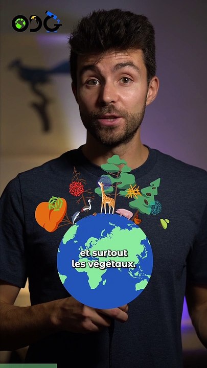 La masse de l’humanité est plus lourde que la masse des autres êtres vivants !