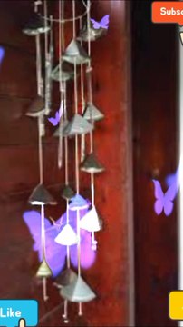 Hanging champ beautifull pics video / A.s channel