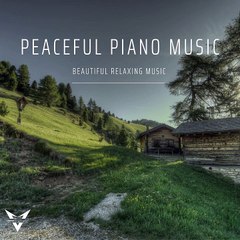 Soothing Piano Music for Relaxation 🎶