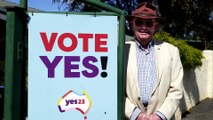 Yes no yes | The Examiner | September 25, 2023