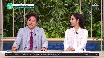 차에서 밥 지어먹었던 과거 추석 귀성길! 너무 막혀서 미혼남녀 이어주는 카풀까지 생겼다? #추석 #귀성길