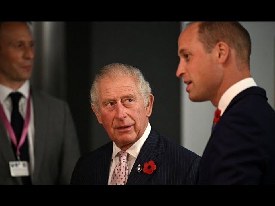 Charles AND William to replace Queen as she pulls out of State Opening