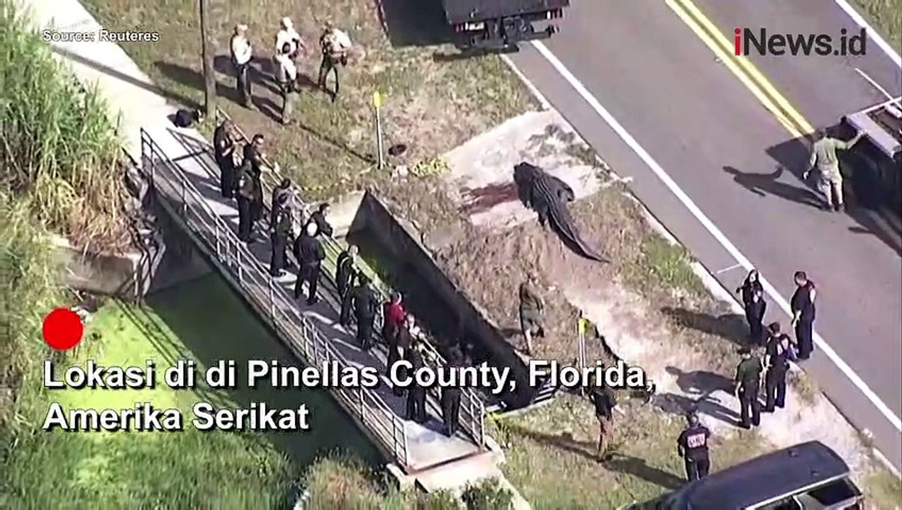 Geger! Wanita Asal Florida Ditemukan Tewas di Rahang Buaya