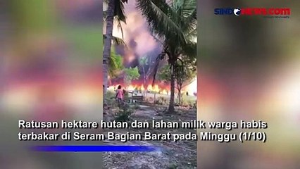 Ratusan Hektare Hutan dan Lahan Warga Ludes Terbakar di Seram Bagian Barat