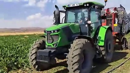 Bitlis'te hasadı başladı, dönüme 7 tona yakın ürün aldı!