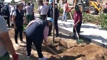 Fatih Kara Surları Millet Bahçesi'nde Ağaç Dikme Töreni Gerçekleştirildi