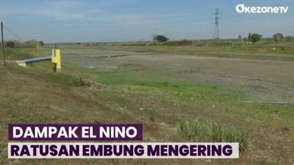 Terdampak El Nino, Ratusan Embung Kering di Bojonegoro