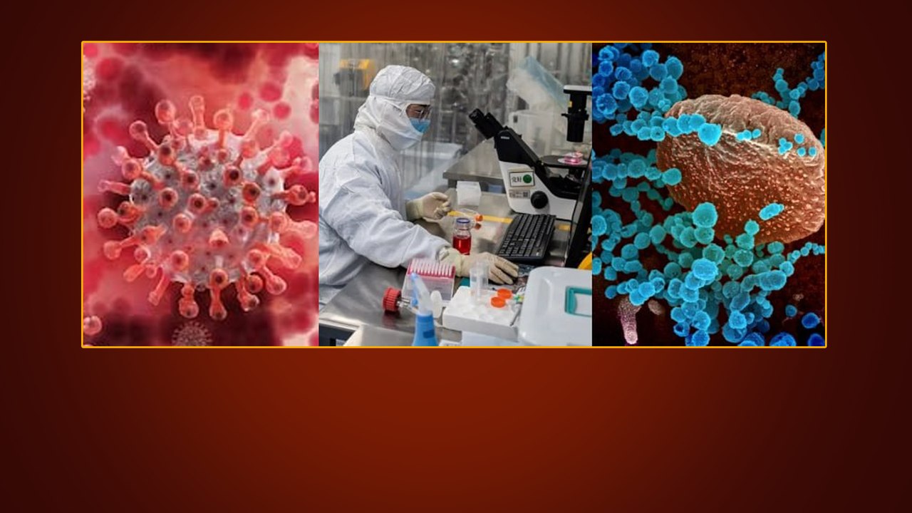 Disease X: ప్రపంచానికి పొంచివున్న మరో మహమ్మారి ముప్పు COVID-19 vs Disease X | Telugu OneIndia