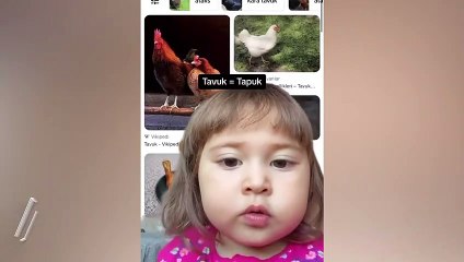 Küçük kız çocuğuna göre hayvan isimleri