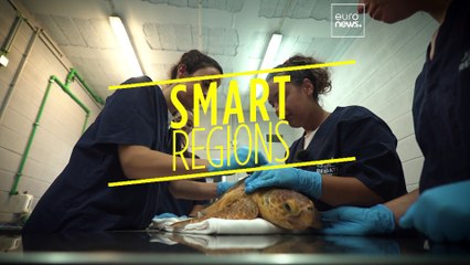 What are the effects of climate change on sea flora and fauna?