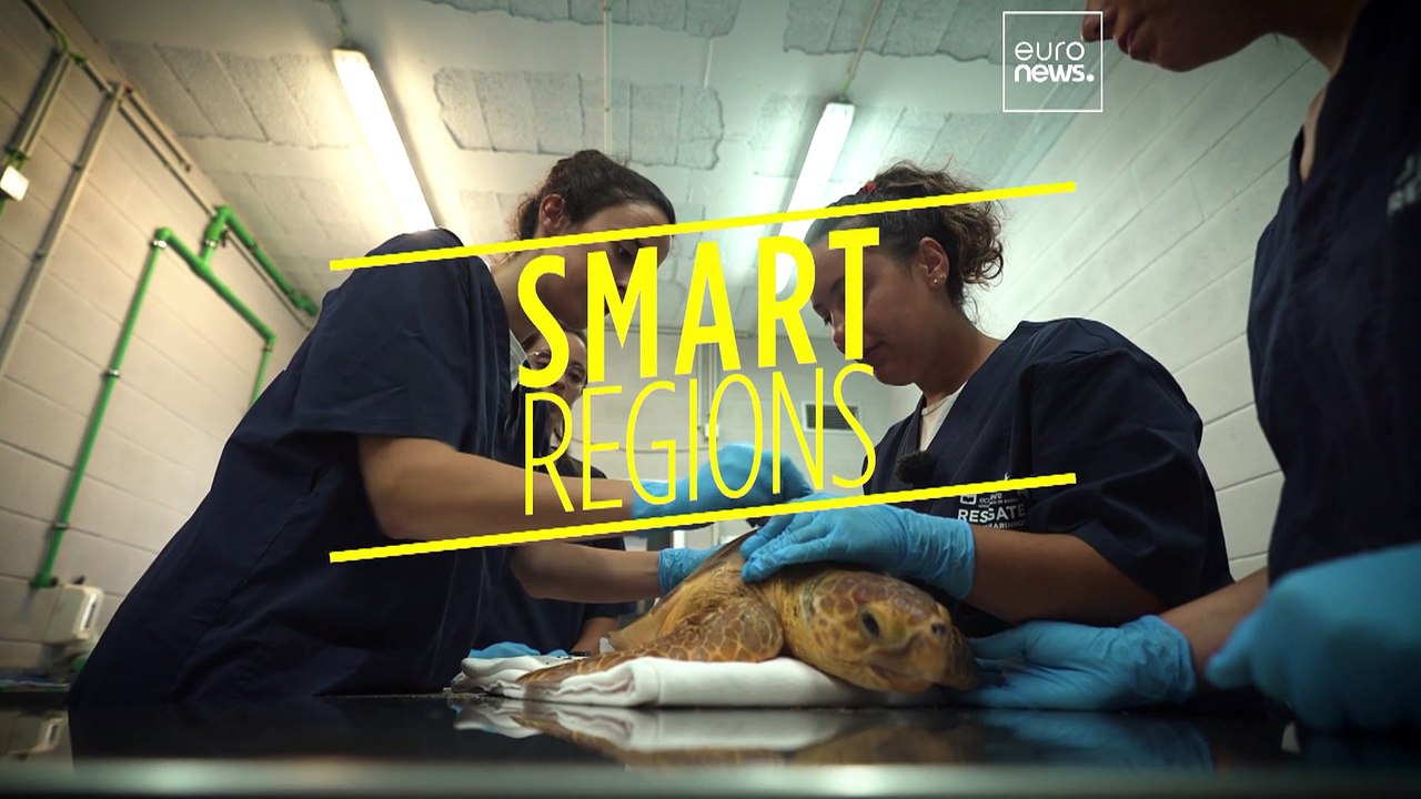 EU-Projekt baut 'Arche Noah' für Meerestiere