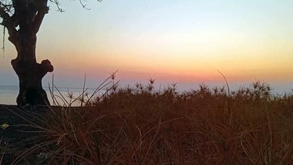 pagi ini sebelum cahaya