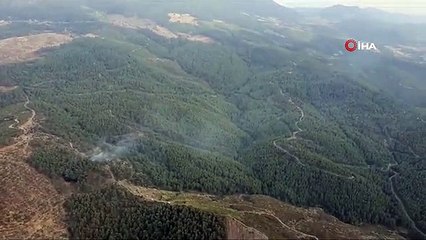 Manisa'nın Akhisar ilçesinde orman yangını