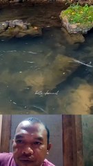 Mancing !! Walaupun Dangkal Tapi Tarikan Nya