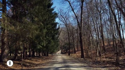 Jeff Koons - Un ritratto privato (Trailer Ufficiale HD) ⭐️⭐️⭐️⭐️