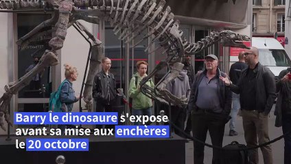 Barry le dinosaure exposé à Paris avant sa mise aux enchères