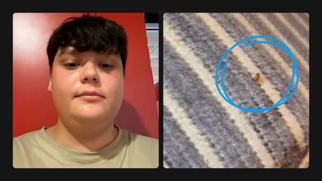 Des punaises de lit signalées dans un TGV Marseille Paris