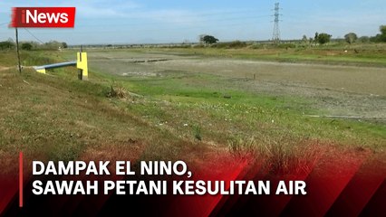 Petani Kesulitan Air, Ratusan Embung Kering Terdampak El Nino di Bojonegoro