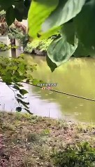 Solo date ♥️♥️♥️