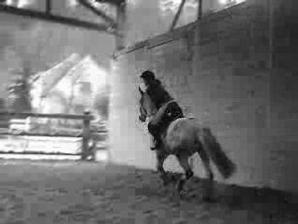 Galop 2
