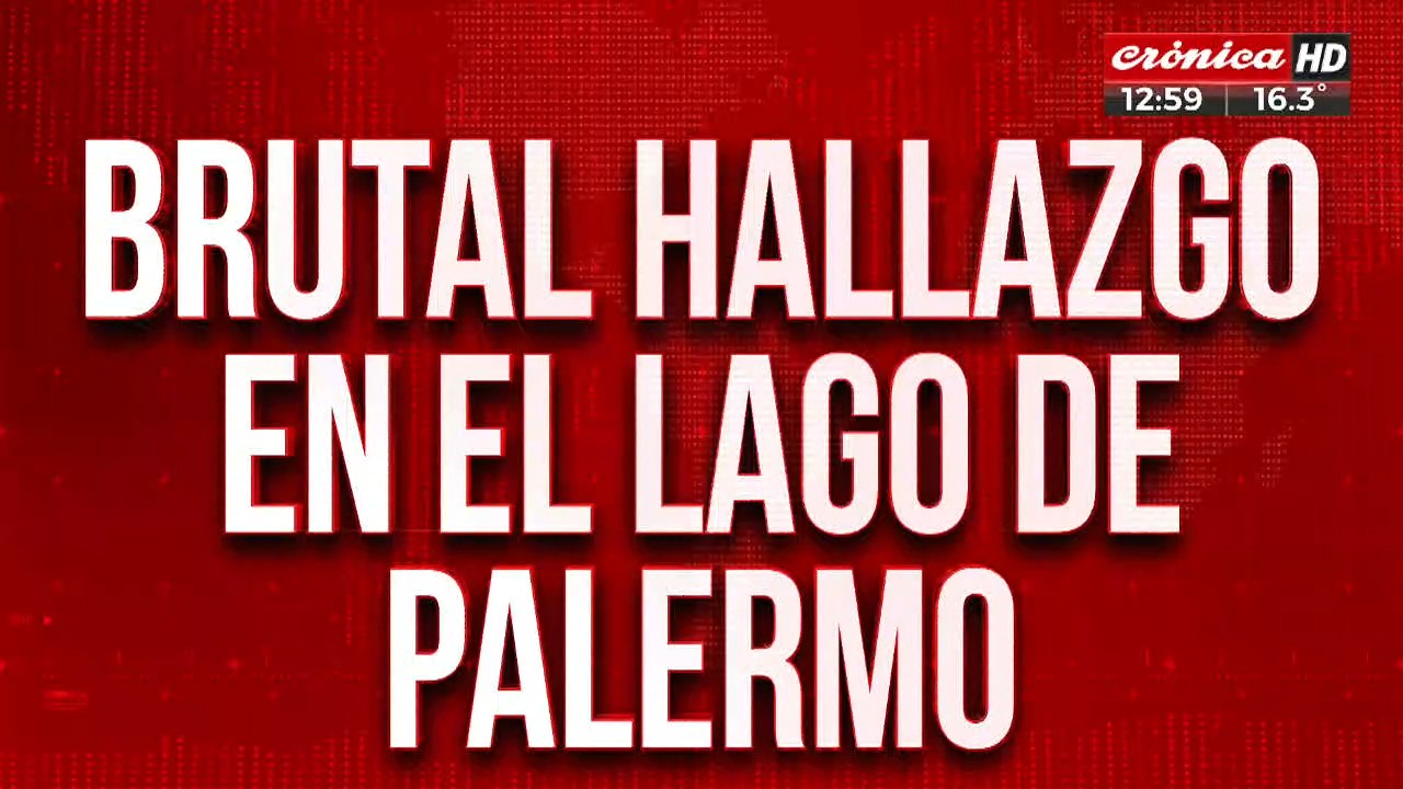 Brutal hallazgo en el Lago de Palermo: encontraron un cuerpo sin vida flotando