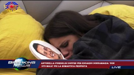 Antonella Fiordelisi soffre per Edoardo Donnamaria: 'Non  sto male' poi la romantica proposta