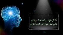 Psychological Facts in Urdu || Mind Blowing Fact About Human Behavior in Urdu || Aqwal E Rooh