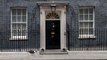 Feline fine: Larry the Cat is well, says Downing Street