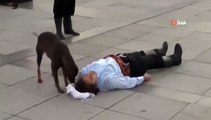 30 Ağustos Zafer Bayramı kutlamaları sırasında, halka açık bir alanda tiyatro gösterisi yapan sanatçı, yaralı rolü yaptığı esnada bir sokak köpeğinin sevgisine maruz kalıyor 
