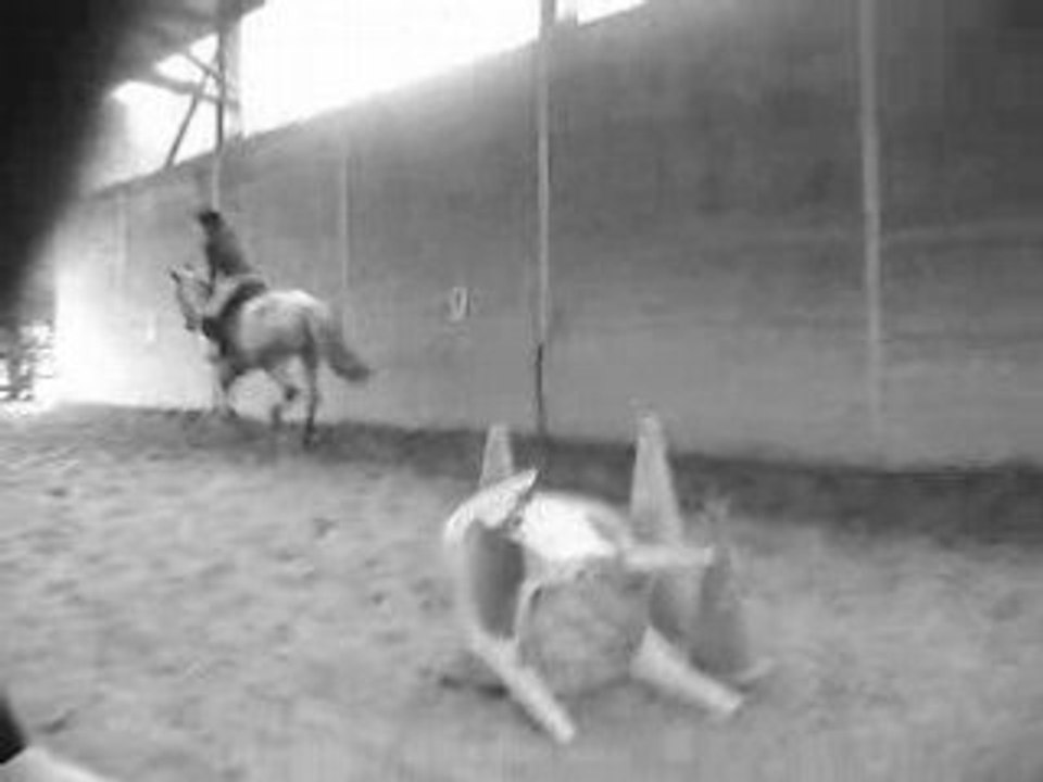 Saut 5