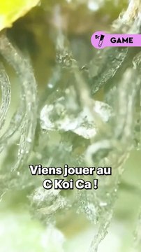 Devine ce qu’on te montre au microscope ! Donne nous ta réponse dans les commentaires, indice : il y en a des rouges des jaunes des vertes ...