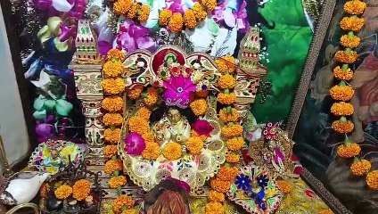 जल विहार को निकले ठाकुरजी, स्वागत में उमड़े श्रद्धालु.... देखें वीडियो ...