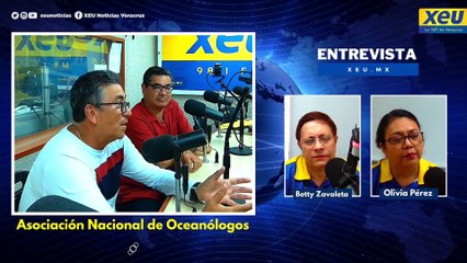 ¿Qué problemas afectan a los océanos?