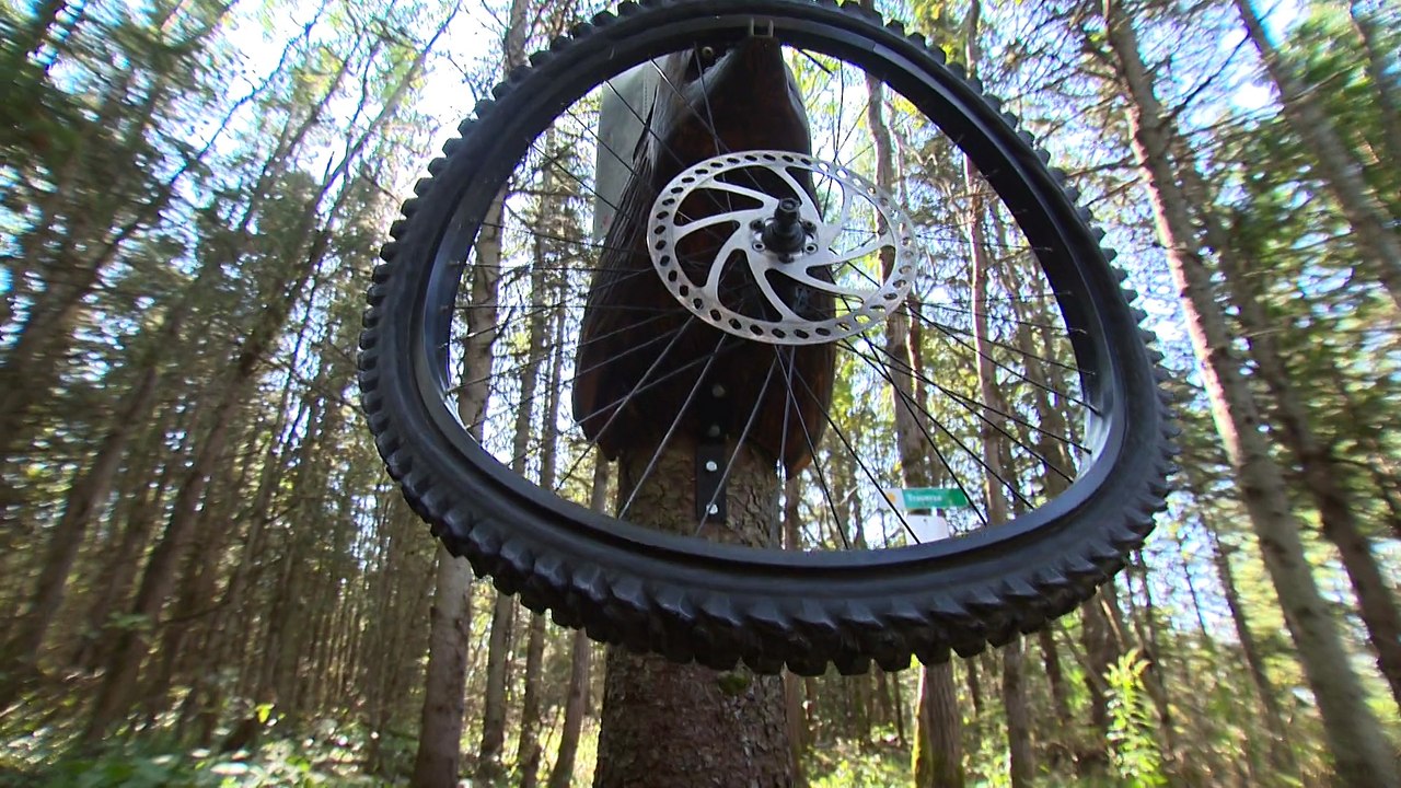 Topo sculpture velo