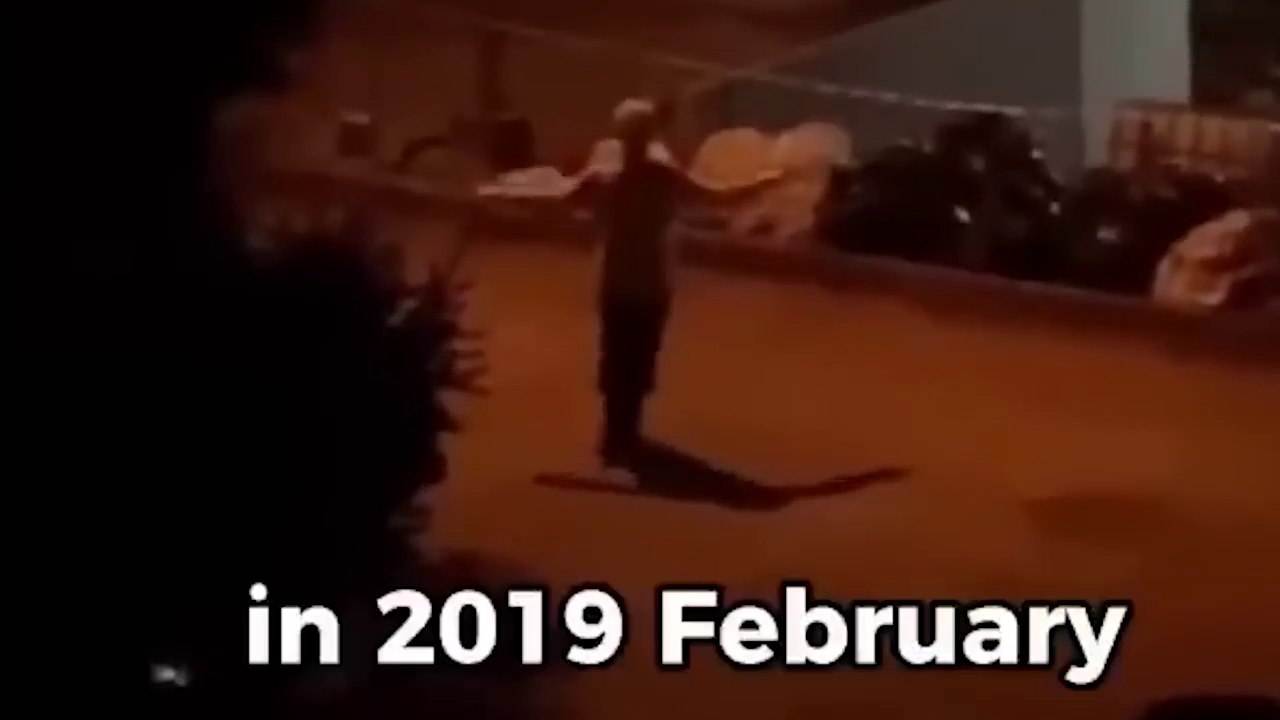 Serbian Dancing Lady - The Real Truth REVEALED!!