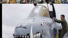 A-10 Warthog .incredble fighter jet painting job