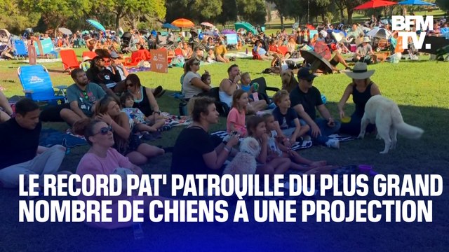 États-Unis: ils battent le record du monde du plus grand nombre de chiens à une projection, pour le dessin animé Pat' Patrouille