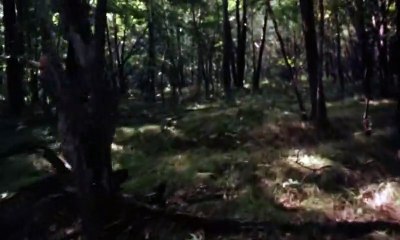 Toxic zombies Bande-annonce (EN)
