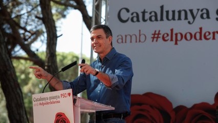 ¿Está en riesgo la legalidad en España ante posible acuerdo de amnistía como moneda de cambio para la formación de Gobierno?