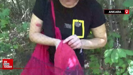 Eymir Kuş Halkalama İstasyonu'nda 5 yılda 12 bin kuş halkalandı