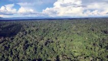 R$ 2 bilhões para segurança na Amazônia Legal