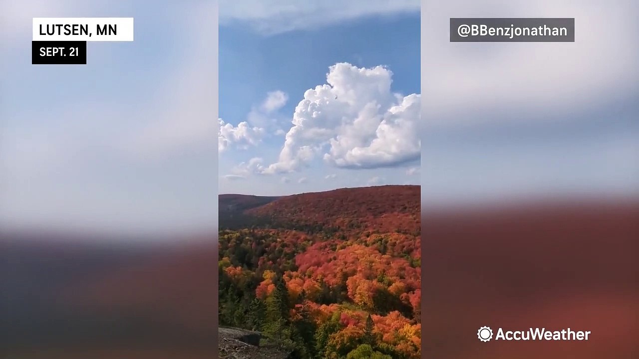 A beautiful view of fall foliage in Minnesota