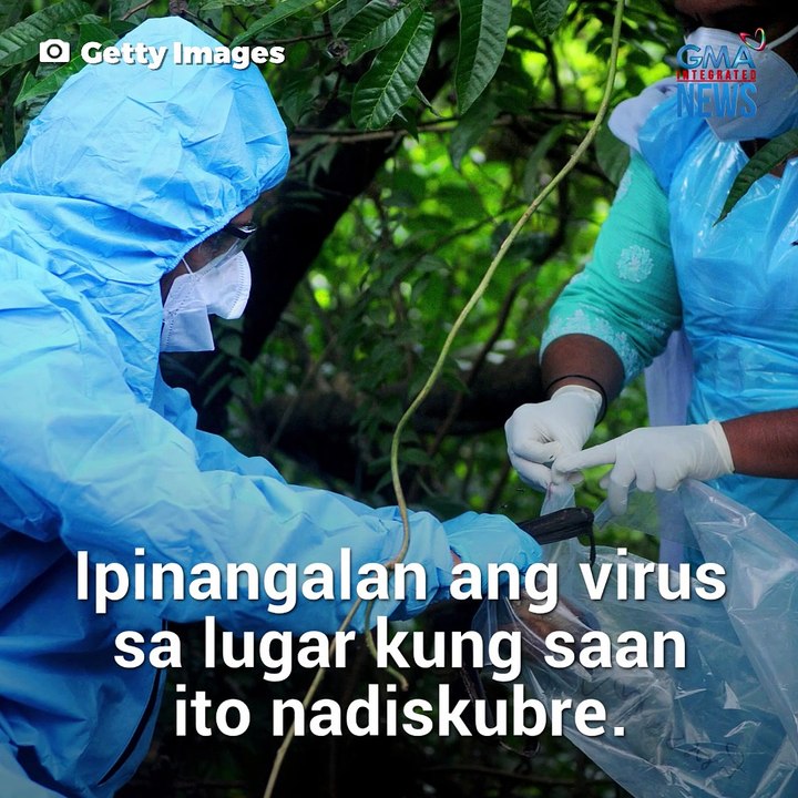 Ano ang Nipah virus? | Need To Know