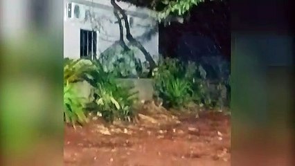 Temporal provoca estragos em Nova Aurora