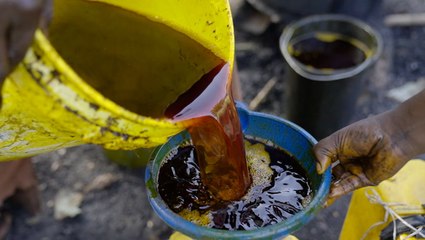 Why West African red palm oil is so expensive