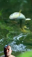 Mancing !! Umpan Belum Turun Langsung Di Sambar.