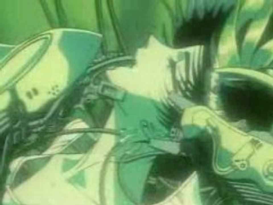 DOUBLE X - Clip officiel X de Clamp