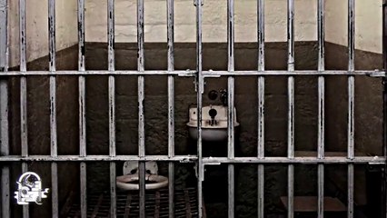 LA MALDICIÓN DEL CURANDERO (Historias De Brujería)