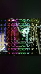 Young Chunky Panday's Photoshoot