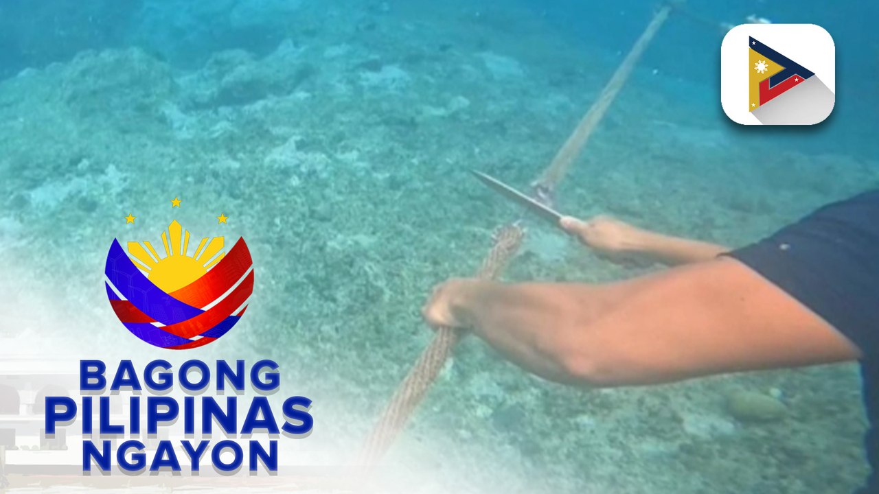 PCG: Floating barrier sa Bajo de Masinloc, naalis na